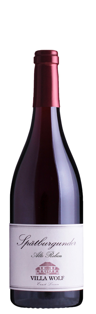 2011 Spätburgunder Alte Reben